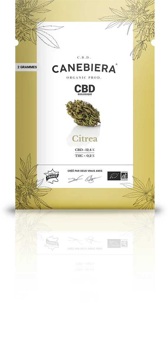 Sachet Canebiera Citrea