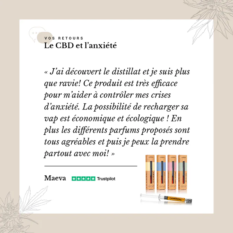 Post Canebiera : avis client sur le CBD et l’anxiété