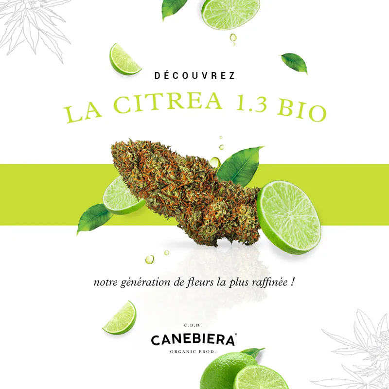 Post Canebiera : découvrez la Citrea 1.3 bio