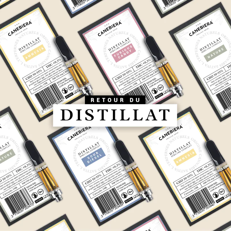 Post Canebiera : retour du distillat