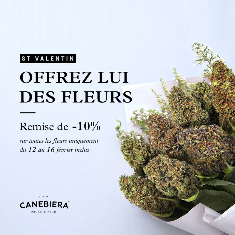 Post Canebiera Saint-Valentin : offrez-lui des fleurs